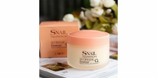 Free Snail Moisturizing Night Cream