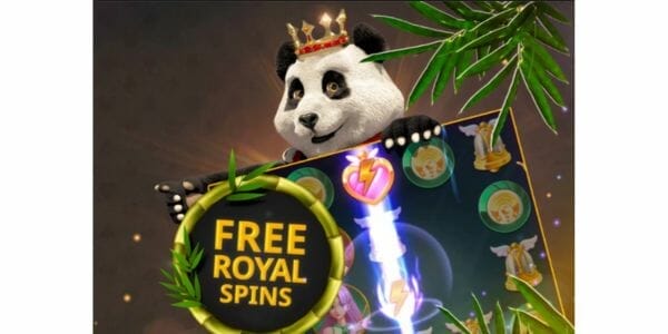 200 Free Spins + Deposits Matched Up to $1000