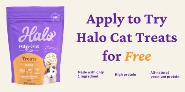 Free Sample of Cat Treats