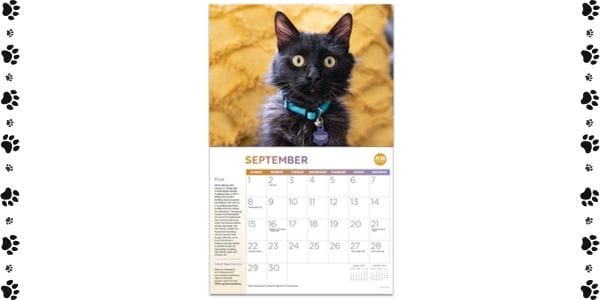 Free Animal Calendar