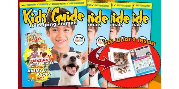 Free Magazine & Stickers for Children