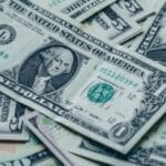 Free Cash for Surveys with Pinecone