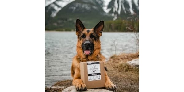 Free Sample of Raw Dog Food